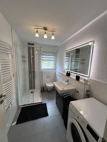 a bathroom with a shower and a sink and a toilet at Schwarzwald Loft in Villingen-Schwenningen