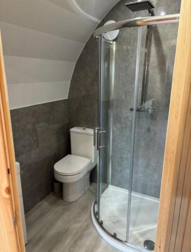 a bathroom with a toilet and a glass shower at Caerlaverock Glamping - Sycamore in Dumfries