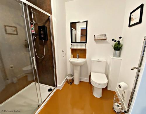 a bathroom with a shower and a toilet and a sink at Byre 2 In The Park in Callander
