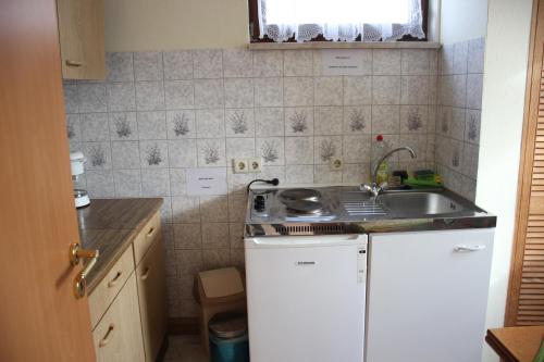 a small kitchen with a sink and a stove at Ferienhaus Grasse in Görlitz