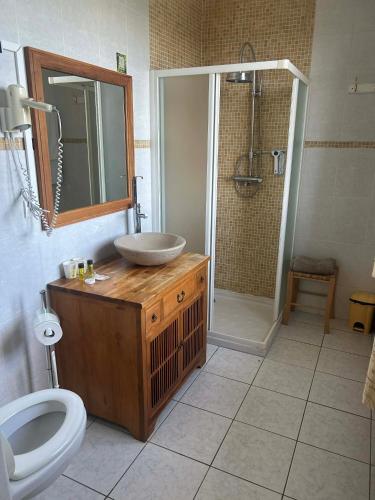 a bathroom with a sink and a toilet and a shower at La villa des palmiers in Soublecause
