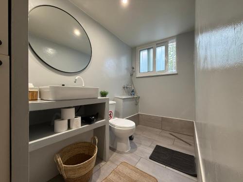 a bathroom with a sink and a toilet and a mirror at Eretria Lofts in Eretria