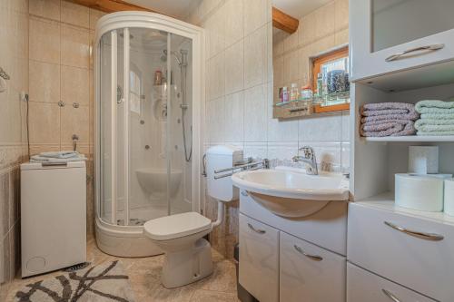 a bathroom with a shower and a toilet and a sink at Vineyard Cottage Stepan in Črnomelj