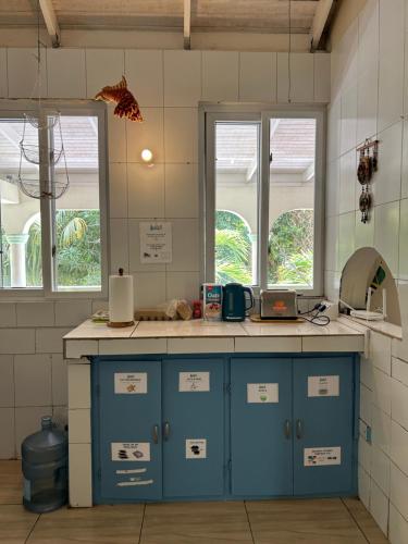 une cuisine avec des placards bleus et deux fenêtres dans l'établissement Soufriere Guesthouse, à Soufrière
