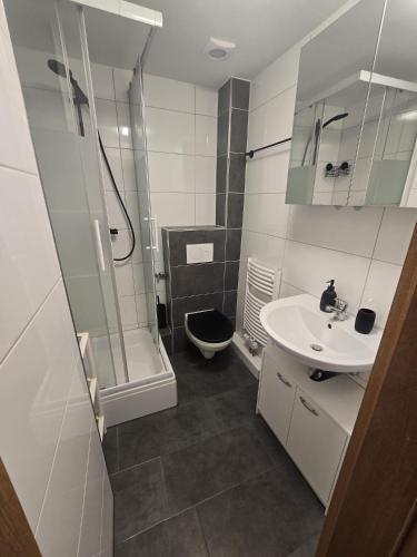 a bathroom with a sink and a shower and a toilet at Sonnige Ferienzimmer WHV in Wilhelmshaven