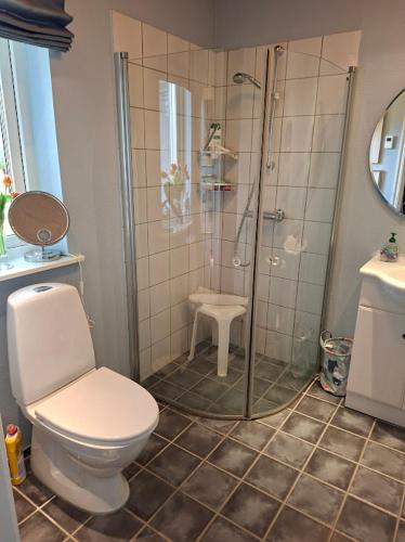 a bathroom with a shower and a toilet and a sink at Gæstehus in Præstø