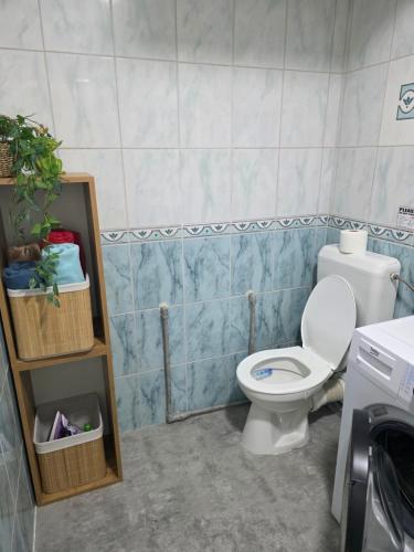 a bathroom with a white toilet in a room at Apartman Iris in Tuzla