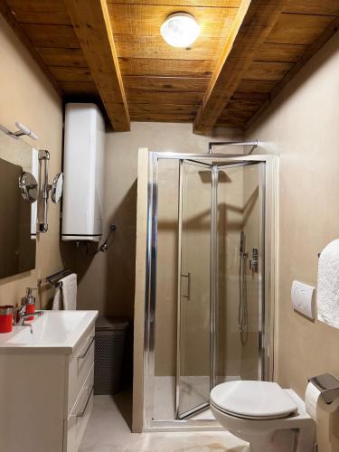 a bathroom with a shower with a toilet and a sink at Ducina Apartments in Milna