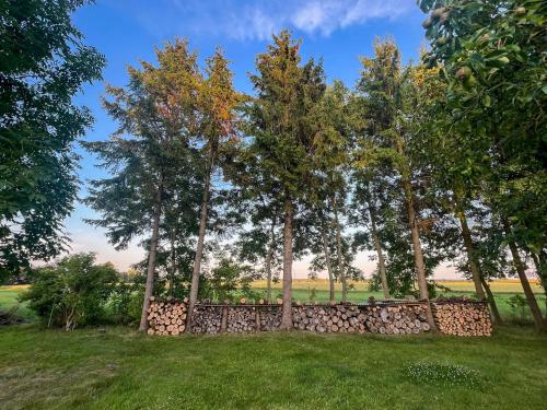 a fence in a field with trees behind it at Gästescheune Rubitz in Rubitz