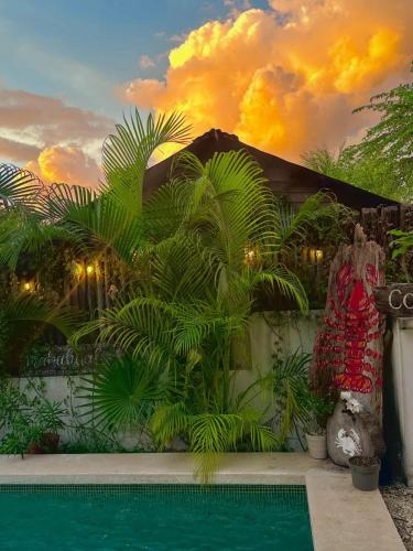 a house with a swimming pool and palm trees at Hotel Jaiba Mahahual - Adults Only in Mahahual