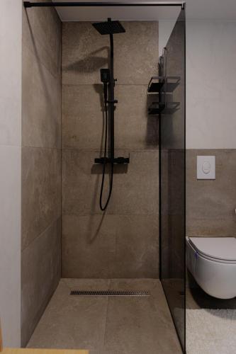 a shower with a toilet and a glass door at Apartman Kelečić in Gornji Stupnik