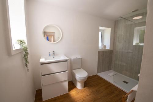 a bathroom with a toilet and a sink and a shower at Ty Capel Bach in Bodorgan