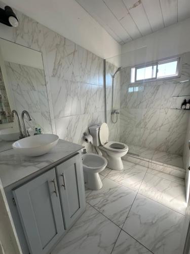 a white bathroom with a toilet and a sink at BichoNegro Hostel in Concordia