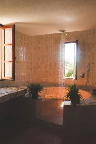 a bathroom with a tub with two potted plants in it at Beach Villa Pasithea in Neokhórion