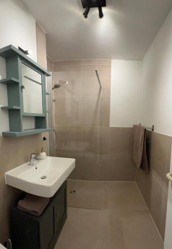 a bathroom with a sink and a shower at Ferienappartement Dümmerling in Lembruch in Lembruch