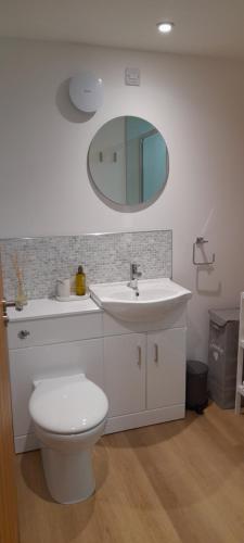 a bathroom with a toilet and a sink and a mirror at The Loch Cabin in Fort William