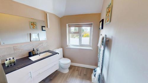 a bathroom with a sink and a toilet and a window at Town Furze in Oxford