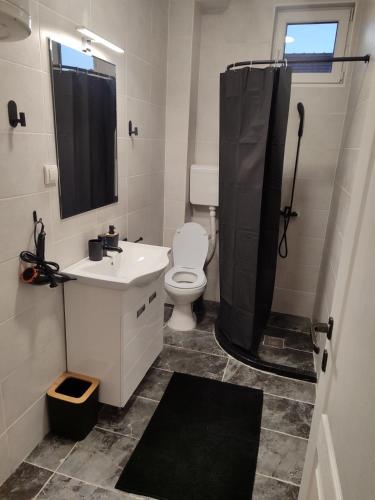 a bathroom with a toilet and a sink and a shower at Apartman Centar Surcin 2 in Surčin