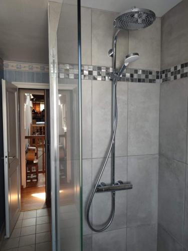 a bathroom with a shower with a glass door at Vaste et confortable maison à la campagne in Villotte-sur-Aire