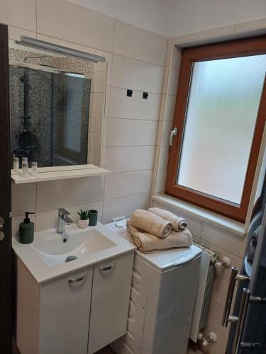 a bathroom with a sink and a washing machine at Vinea Nature in Brkač
