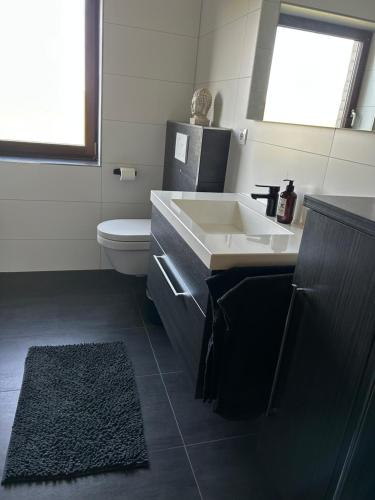 a bathroom with a sink and a toilet at Oak Wood Ranch Guest Apartment in Marsberg