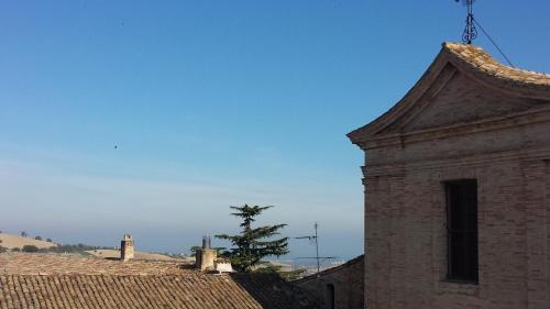 an old brick building with a tree on top of it at B&b Piazzetta in Fermo