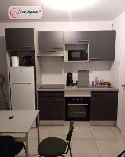 Joli T2 Ensoleillé Parking Privé Terrasse -Maconciergerie34