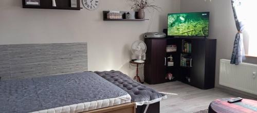 a bedroom with a bed and a flat screen tv at Kawalerka u Megi in Borne Sulinowo