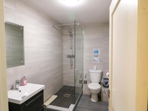 a bathroom with a shower and a toilet and a sink at Thadg and Hannahs in Milltown