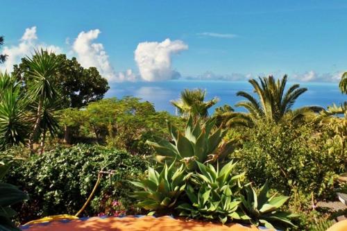 a view of the ocean from a garden with plants at Casa Estrella, Ferienhaus in Las Manchas in Las Manchas