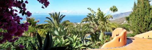 a view of the ocean from a garden with plants at Casa Estrella, Ferienhaus in Las Manchas in Las Manchas