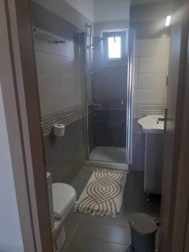 a bathroom with a shower and a toilet and a sink at Vacation Home in Myrina