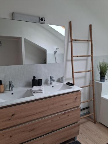 a bathroom with a sink and a mirror at gite du montagnard in Oxelaere