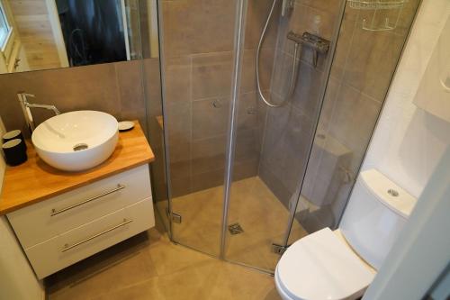 a bathroom with a shower with a toilet and a sink at Ferienhaus Sjö Hus Pülsen - Köhn in KÃ¶hn