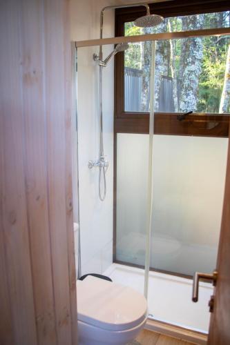 a bathroom with a shower with a toilet and a window at OUTSCAPE l Cabañas en Puerto Fuy, Huilo Huilo a Orillas del Lago in Puerto Fuy