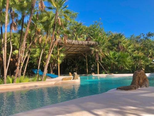 a swimming pool with palm trees and a resort at Muluk Grove Lodge in Placencia