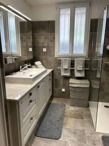 a bathroom with a sink and a shower at gîte des gorges de Daluis appartement 2 pieces in Daluis