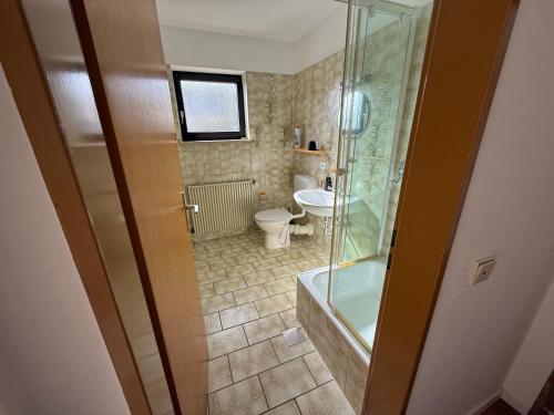a bathroom with a shower and a toilet and a sink at Ferienwohnung LuMa in Rottenacker in Rottenacker
