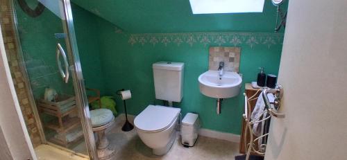 a green bathroom with a toilet and a sink at Chez Jo in Lewes