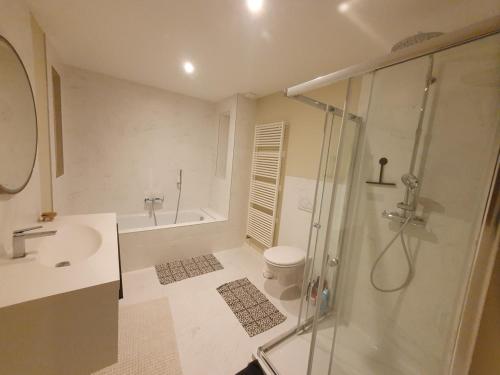 a bathroom with a shower and a toilet and a sink at La demeure Langroise in Langres