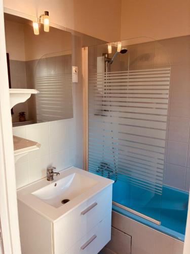 a bathroom with a sink and a glass shower at Levroux - maison 4-6 pers - cour privee in Levroux