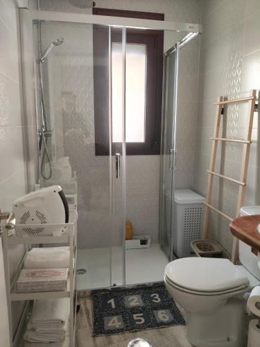 a bathroom with a toilet and a glass shower at Casa Rural "Baru" in Alpandeire