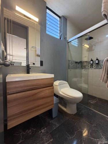 a bathroom with a toilet and a sink and a shower at AR Suites 3 La Calzada in Zamora de Hidalgo