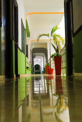 Valladolid'deki Hotel Valladolid tesisine ait fotoğraf galerisinden bir görsel