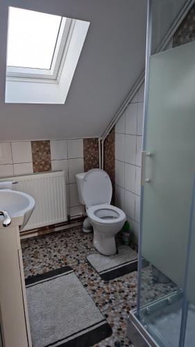 a bathroom with a toilet and a sink at Cabana Angela in Râșca