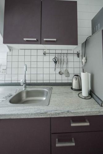 a kitchen with a sink and a counter top at FREYZEIT Apartment "Gässel" in der Altstadt von Speyer für bis zu 6 Personen in Speyer