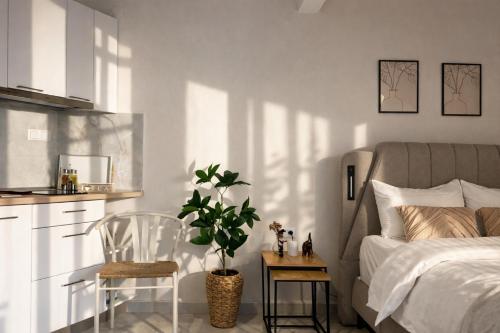 Nektar Studio