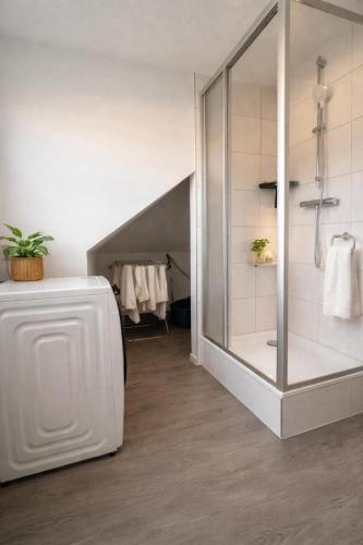 a bathroom with a walk in shower and a bath tub at krönchen zwei in Siegen
