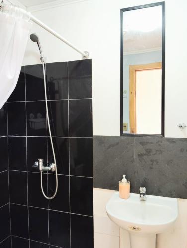 a bathroom with a shower and a sink at Hospedaje Amore per il lago in Villarrica