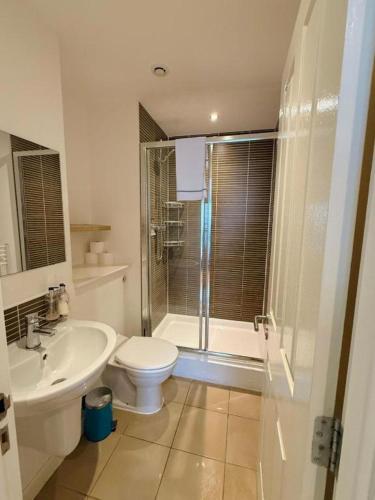 a bathroom with a toilet and a sink and a shower at Britannia Apartments in Edinburgh